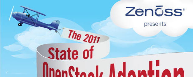 The State of OpenStack Adoption in 2011